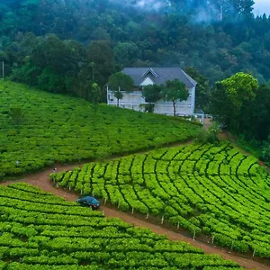 Tea Harvester Resort Munnar